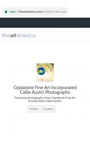 FINE ART AMERICA Features Cepiatone Fine Art